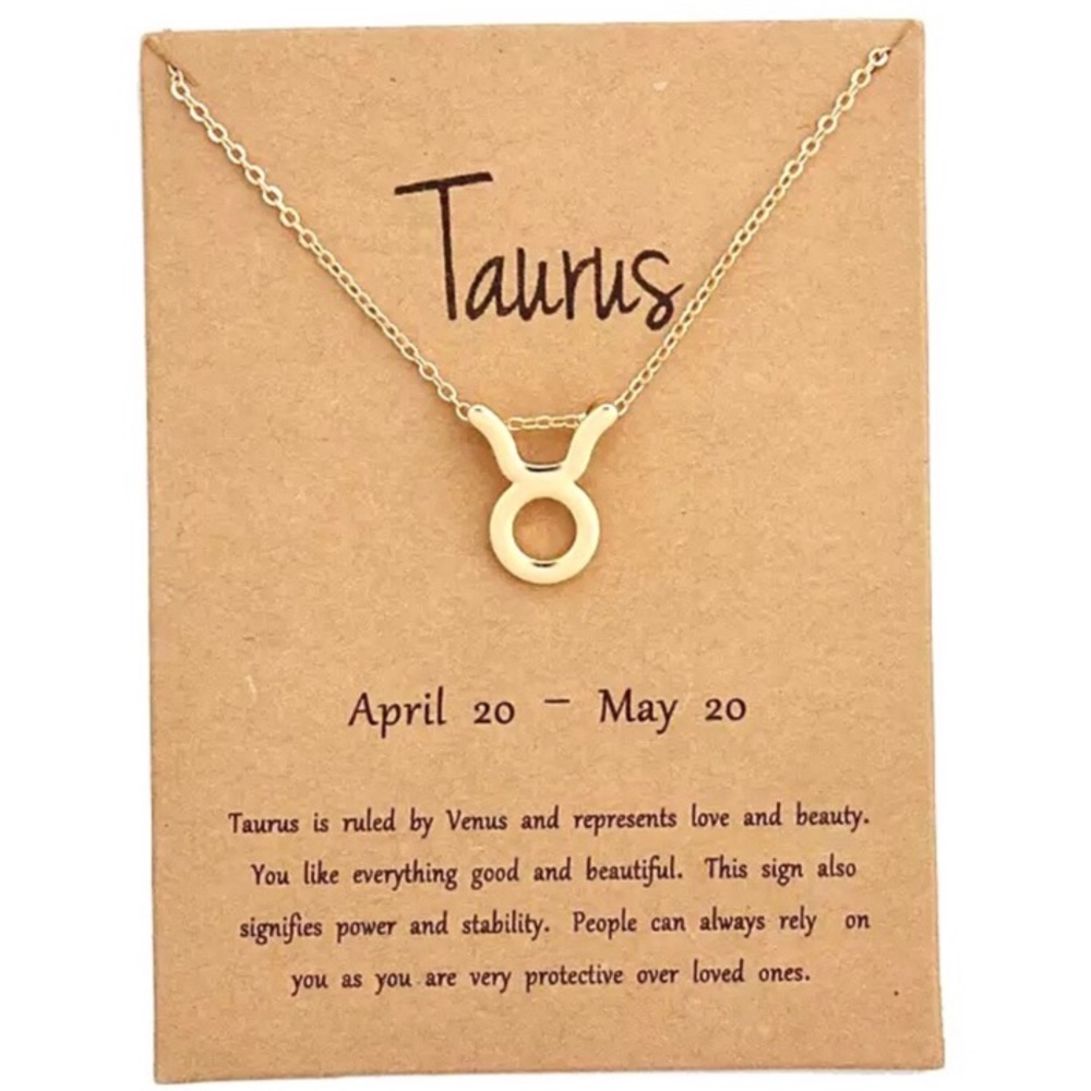 Minimalist Zodiac Sign Minimalist Charm Necklace - Picture 5 of 16